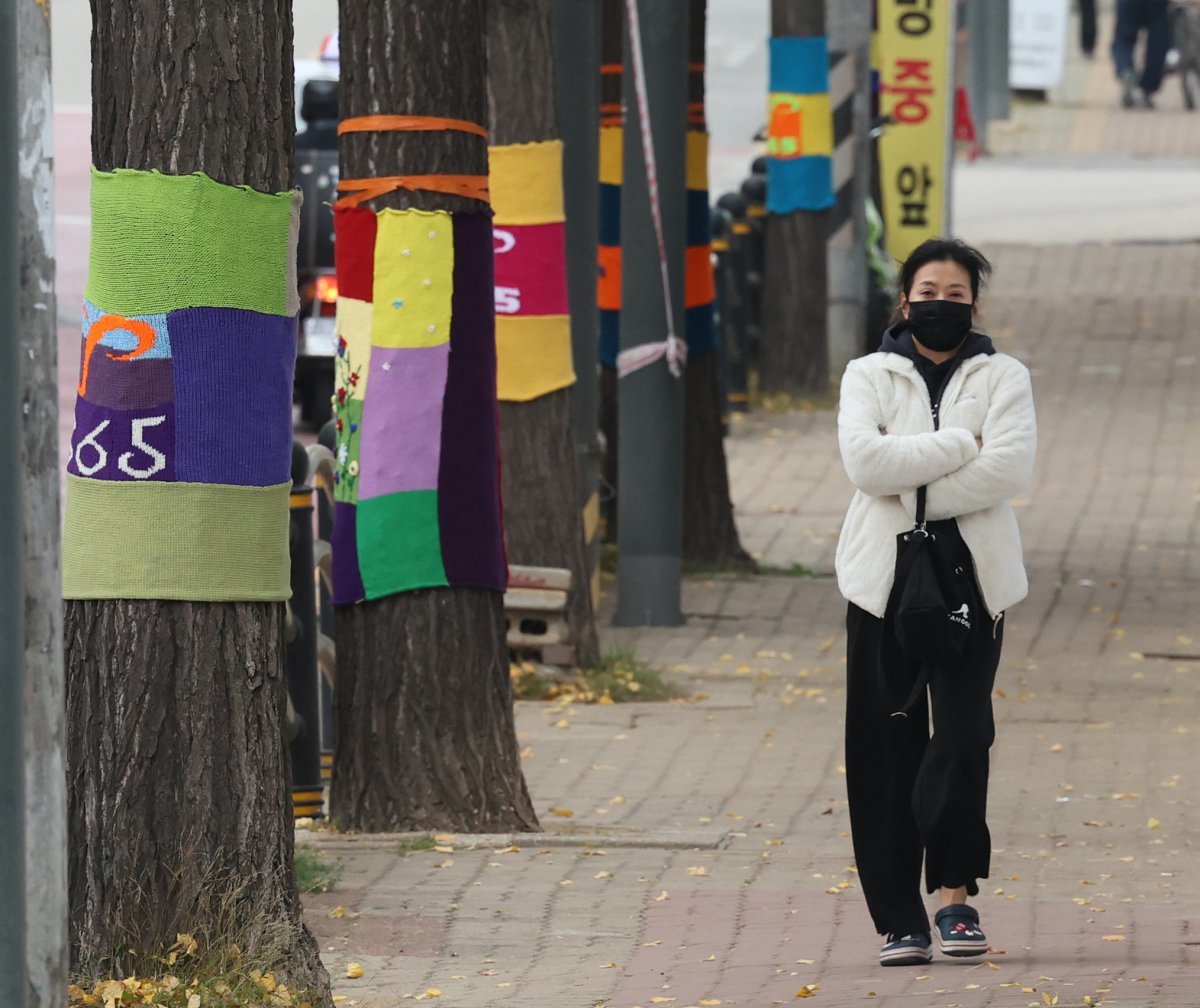 20일 오후 인천 미추홀구청 인근 가로수들이 자원봉사자들이 뜨개질로 만들어준 털실 겨울옷을 입고 있다.  2024.11.20 뉴시스