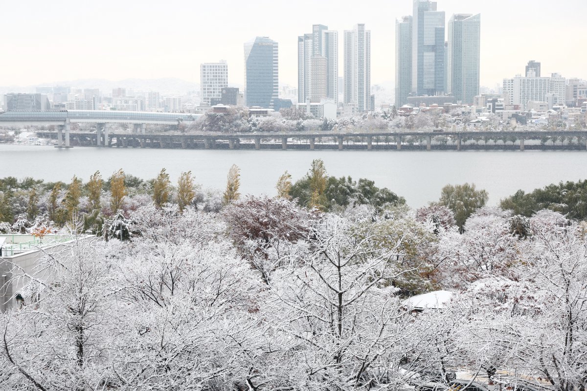 서울 전역에 대설주의보가 발효된 27일 오전 서울 여의도 일대에 눈이 내리고 있다. 2024.11.27 뉴스1