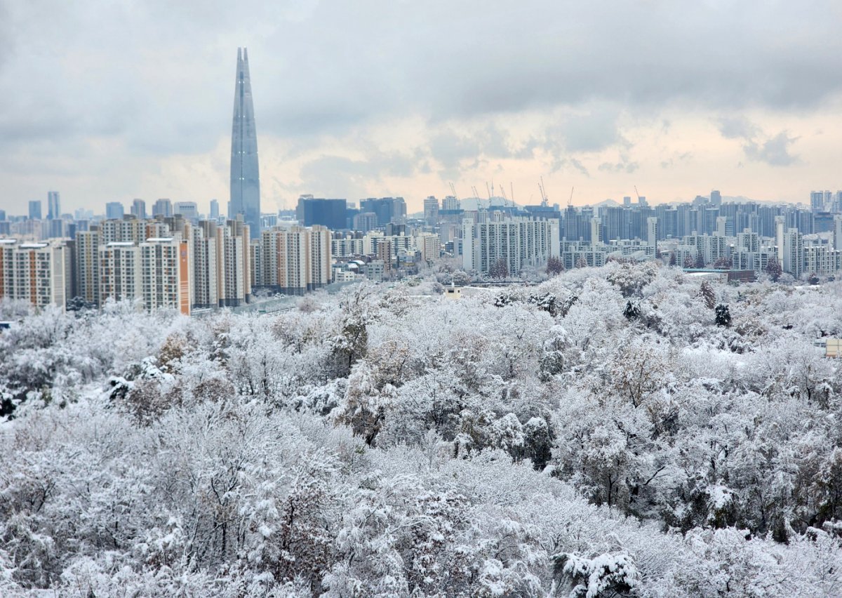 서울에 첫눈이 내린 27일 오전 서울 송파구에 눈이 쌓여 그림같은 풍경을 보이고 있다. 2024.11.27 뉴스1