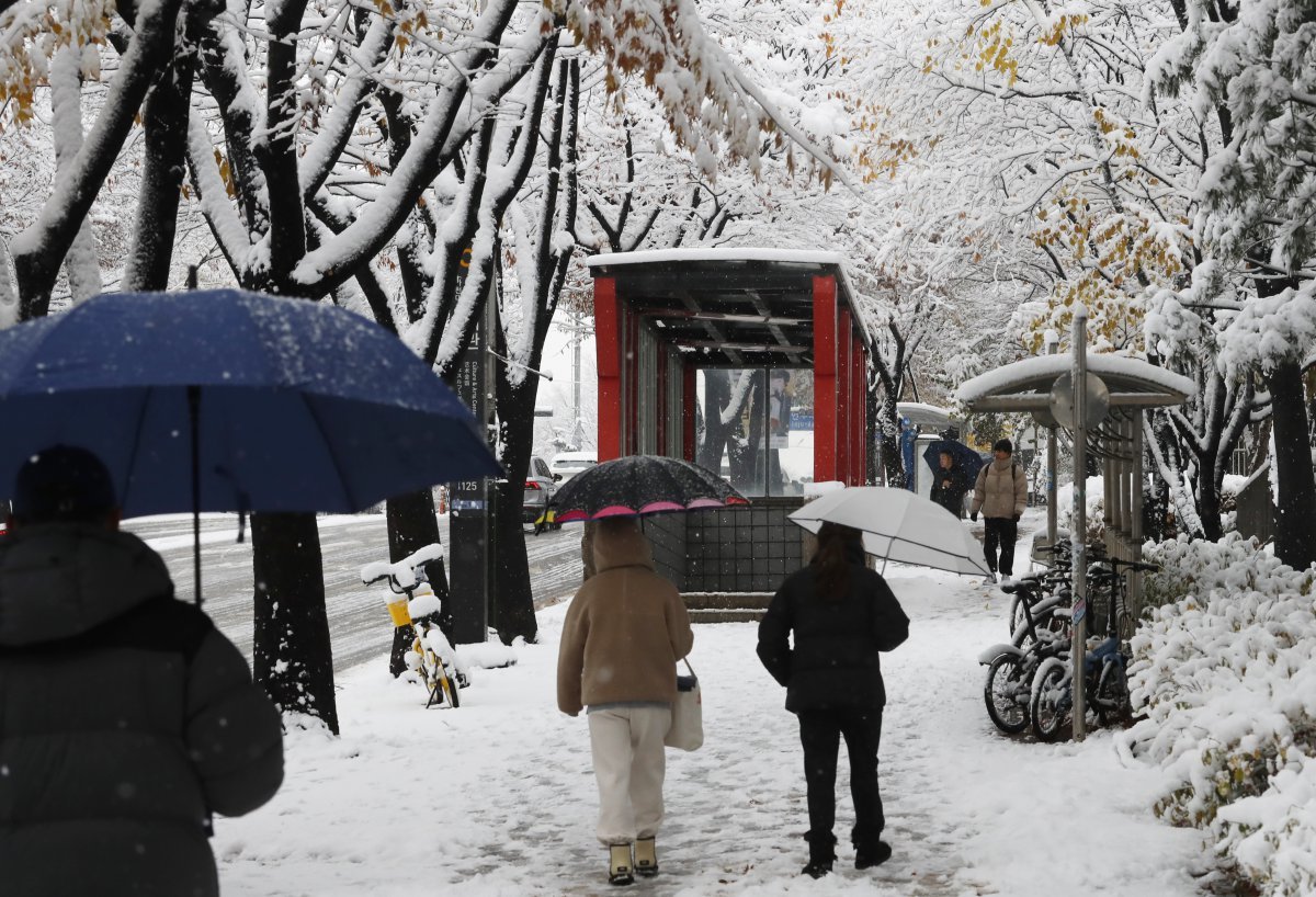 대설특보가 발효된 27일 오후 인천 남동구 인천문화예술회관 인근에서 시민들이 우산을 쓰고 걸어가고 있다. 2024.11.27 인천=뉴시스