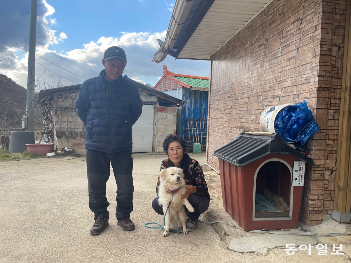 28일 충남 홍성군 서부면 어사리에서 만난 견주 심금순 씨가 백구를 안고 남편 이순동 씨와 사진 촬영을 하고 있다. 3년 전 빗속에 실종된 심 씨의 어머니는 백구가 40여 시간 동안 떠나지 않고 체온을 나누며 곁을 지켜준 덕분에 무사히 구조될 수 있었다. 홍성=이정훈 기자 jh89@donga.com