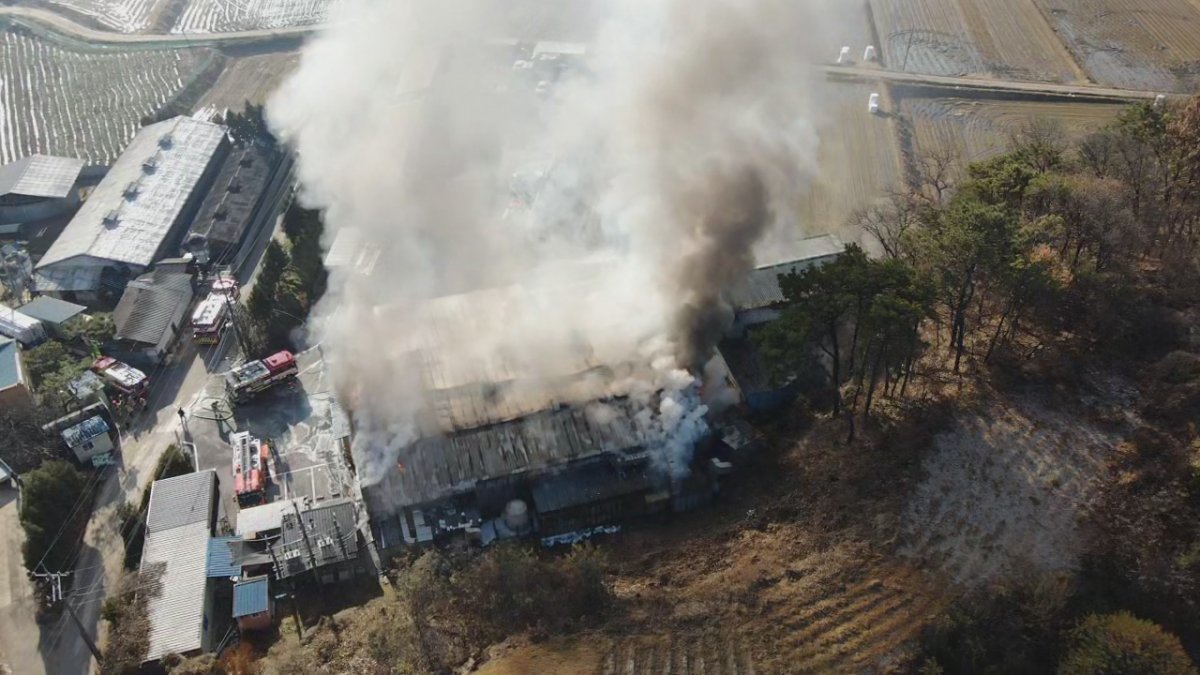 30일 오전 9시 42분쯤 충북 청주시 청원구 북이면의 한 비닐포장지 제조 공장에서 불이 났다.(충북소방본부 제공)/뉴스1