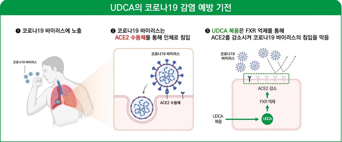 대웅제약 제공