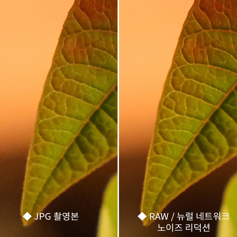 ISO 12800으로 촬영된 이미지, 좌측은 자동 산출되는 JPG 결과물이며 우측은 RAW 파일을 별도 처리로 작업한 결과물이다 / 출처=IT동아