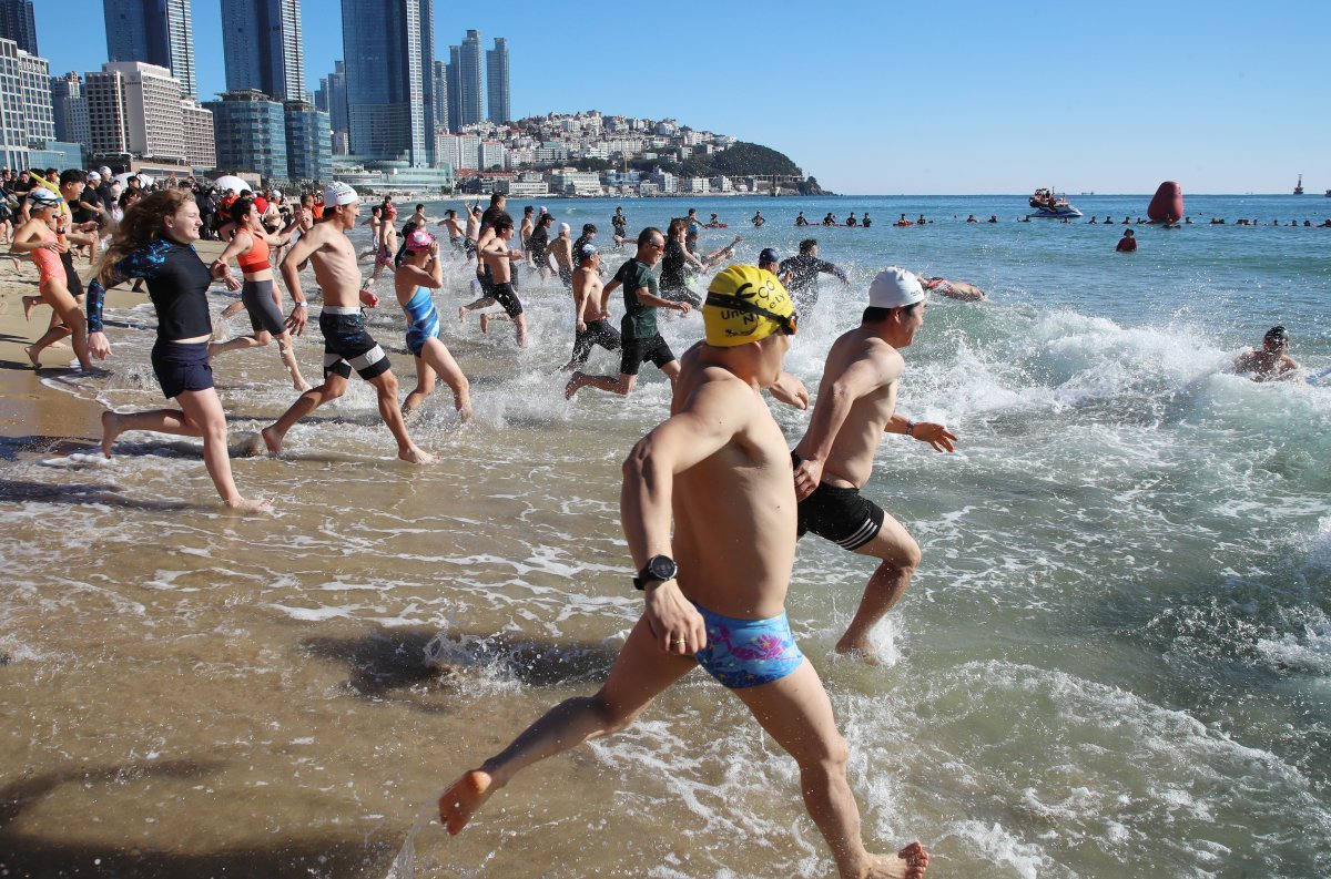 8일 부산 해운대해수욕장에서 열린 제37회 해운대 북극곰축제에서 참가자들이 차가운 겨울 바다에 뛰어들고 있다. 뉴스1