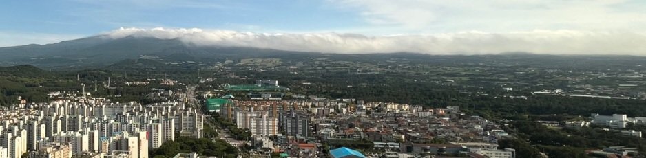 제주 도심 전경. 뉴스1