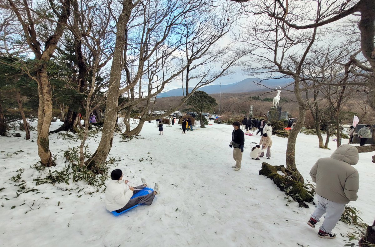 한라산국립공원 1100고 휴게소 인근에서 관광객들이 겨울 정취를 만끽하고 있다.2024.12.1 뉴스1