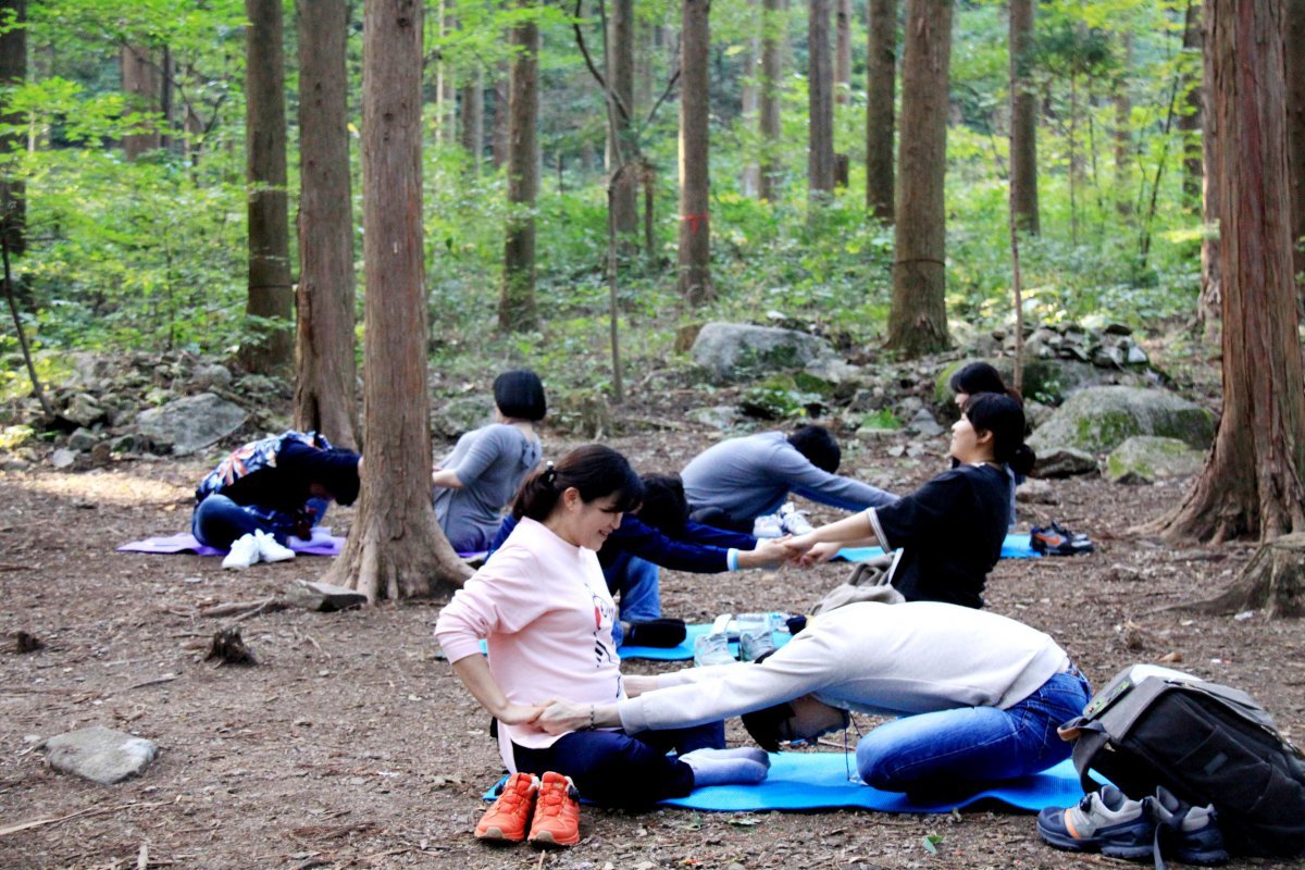 국립산림치유원을 포함해 전국 6개 산림복지시설에서 신혼부부나 결혼 예정자, 임신부 가족 등을 대상으로 ‘숲태교’를 진행하고 있다. 사진은 10월 10일 전남 국립장성숲체원에서 진행된 ‘숲태교’. 한국산림복지진흥원