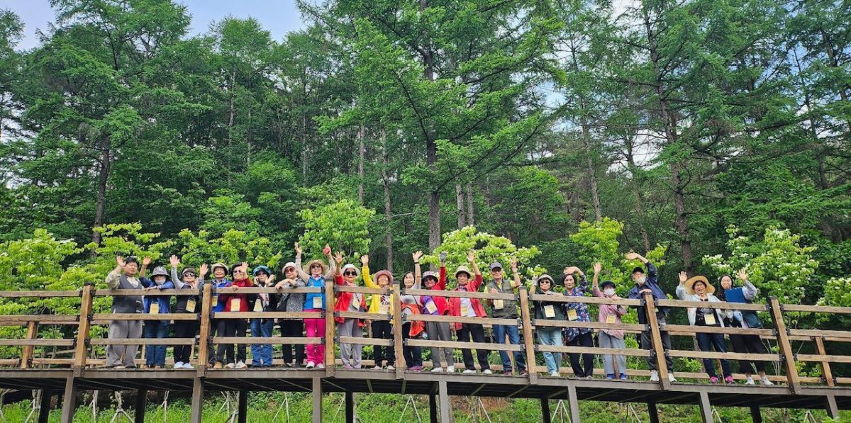 한국산림복지진흥원은 치매노인과 홀몸노인, 50세 이상 신중년층을 새롭게 발굴해 연간 5만 명을 대상으로 ‘항노화 산림치유 프로그램’을 진행한다. 사진은 10월 26일 경기 국립양평치유의숲에서 열린 항노화 산림치유프로그램.