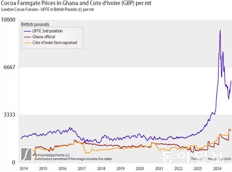 2024년 11월까지 최근 10년간 코코아 가격(파란선)과 가나의 공식 수매가격(빨간선) 코트디부아르 농장 판매가격(노란선)의 추이.