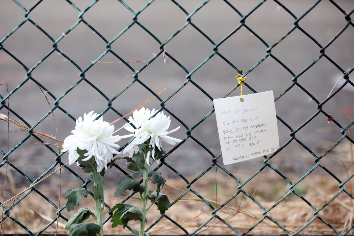 31일 오후 179명이 사망한 제주항공 여객기 참사 사고현장 인근인 무안국제공항 철조망에 추모쪽지가 붙어 있다. 뉴스1