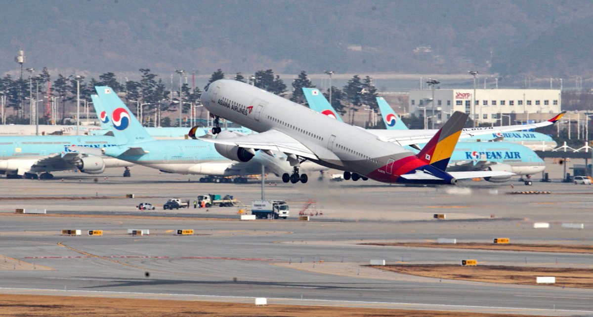 지난달 11일 인천공항 계류장 및 활주로에 놓인 대한항공과 아시아나 비행기 모습. 2024.12.11 뉴스1