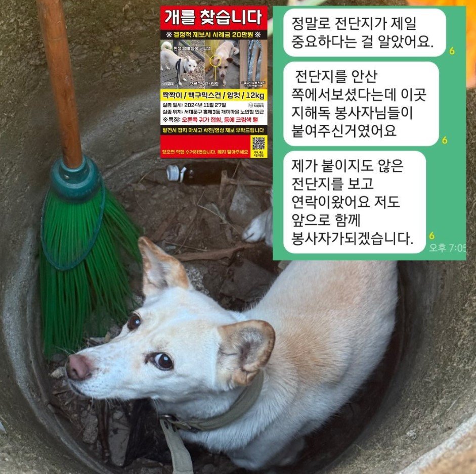 출처=유실동물 구조 봉사 모임 지해피독 인스타그램