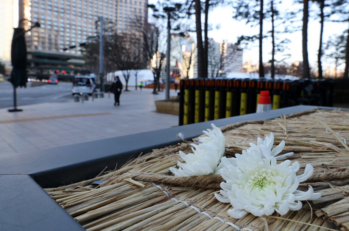 3일 오전 서울 중구 서울시청 앞에 마련된 제주항공 여객기 사고 희생자 합동분향소 인근에 국화꽃이 놓여 있다. 뉴시스