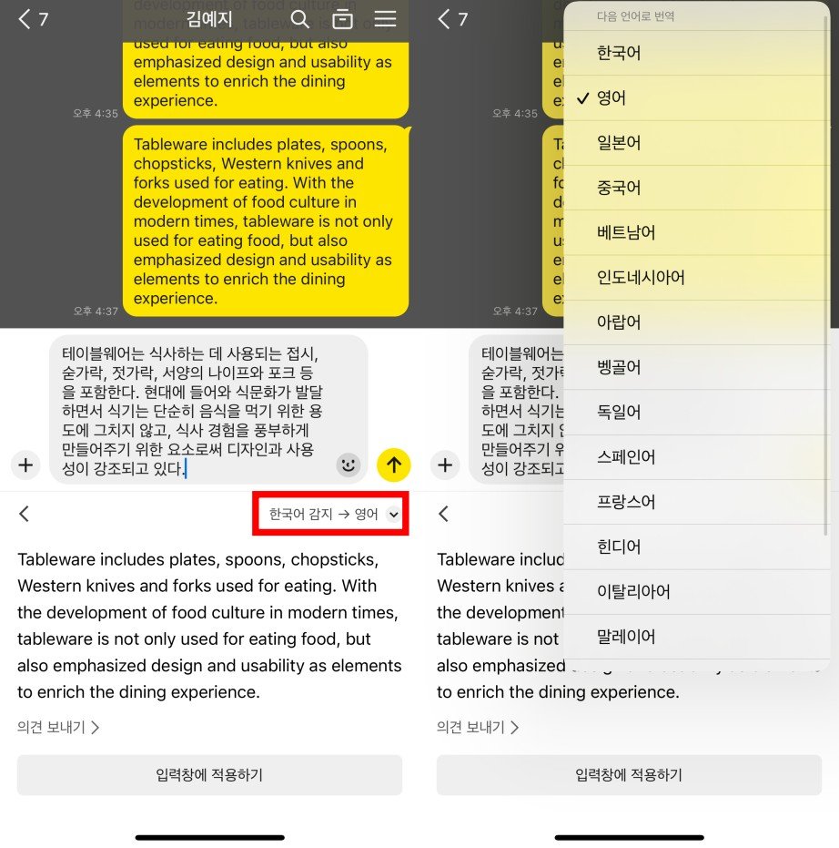 현재 총 19개 언어로 번역할 수 있다 / 출처=IT동아