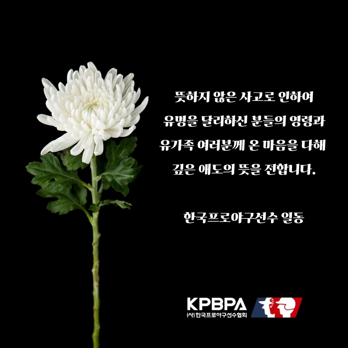 프로야구선수협, 제주항공 참사 희생자 유가족에 기부. (한국프로야구선수협회 제공)