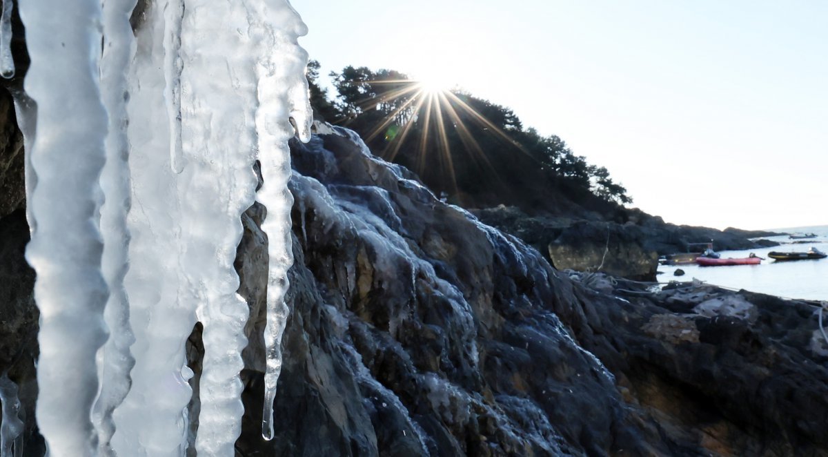 북극 한파가 전국을 덮친 10일 부산 남구 백운포 갯바위에 고드름이 매달려 있다.    부산기상청은 이날 부산의 아침최저기온이 영하 10.1도로, 올 겨울 들어 가장 낮은 기온을 기록했다고 밝혔다. 2025.01.10. [부산=뉴시스]