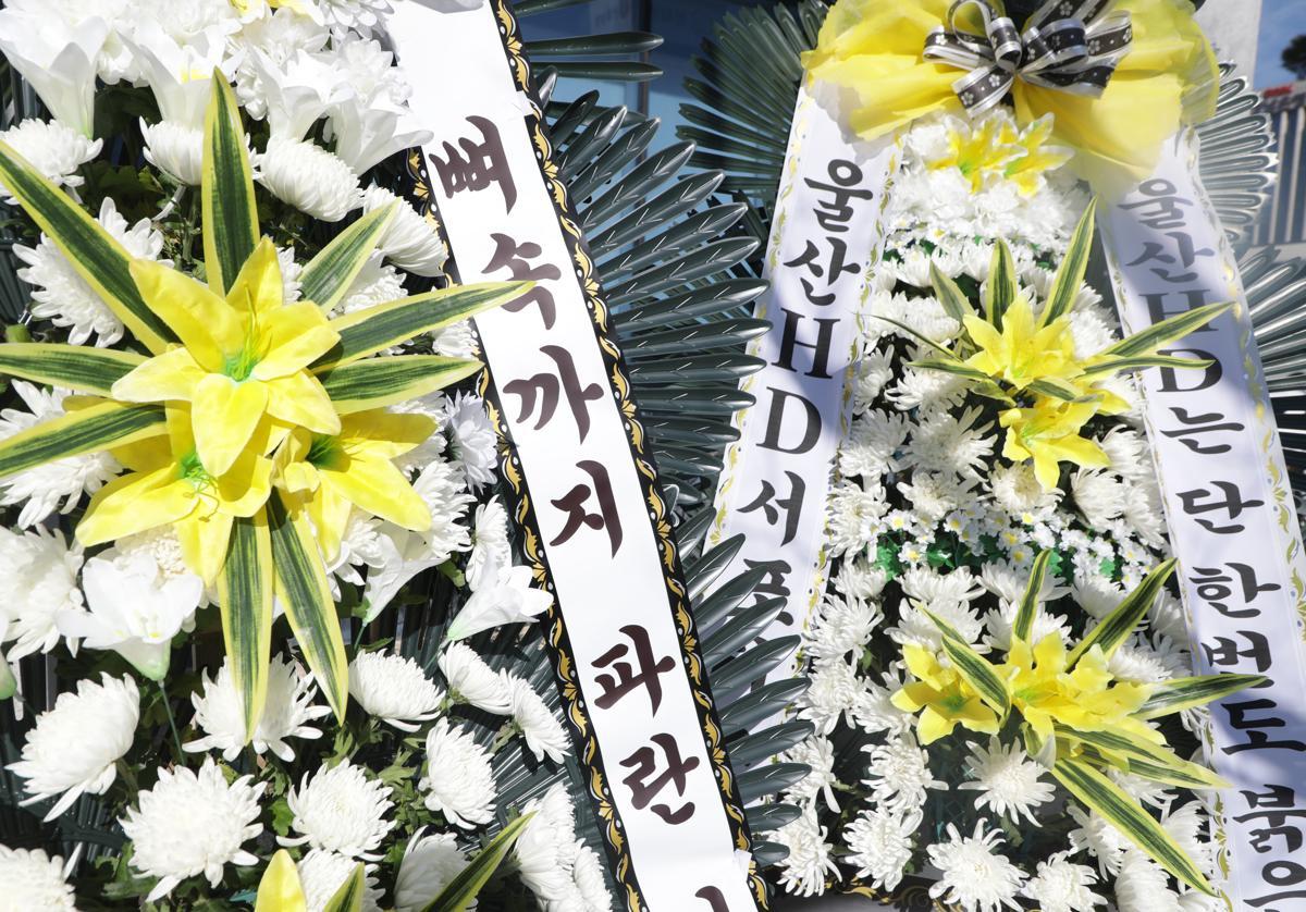 13일 오전 울산시청 남문에는 울산HD현대 팬들이 울산시에 관중석 색 교체에 반발하는 근조화환이 놓여있다.2025.1.13 뉴스1