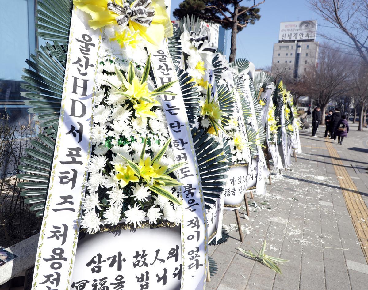 13일 오전 울산시청 남문에는 울산HD현대 팬들이 울산시에 관중석 색 교체에 반발하는 근조화환이 놓여있다.2025.1.13 뉴스1