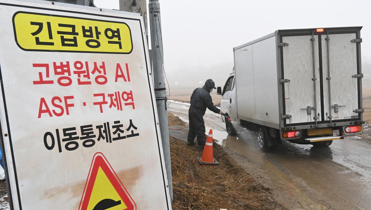 고병원성 조류인플루엔자(AI)가 발생한 경기도 여주시 흥천면 한 산란계 농장 인근 이동통제초소에서 6일 방역 관계자가 차량 방역작업을 하고 있다.  이번에 AI가 발생한 농장은 지난달 26일 발생한 농장과 직선거리로 600m 떨어진 곳으로 방역당국은 발생 농장 반경 10km 이내 25개 농장의 가금류 260만 마리에 대해 이동을 제한하는 등 방역을 강화하고 있다. 2025.01.06 뉴시스