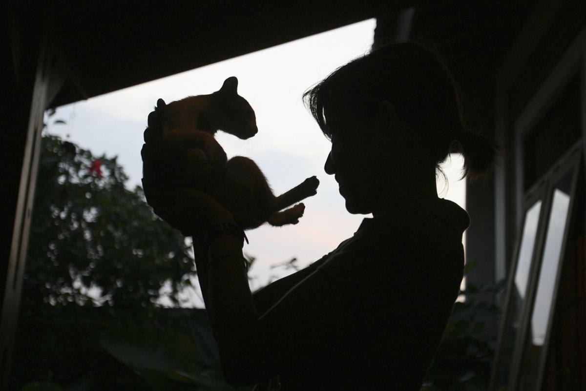 기사와 직접적 관련 없는 참고사진 ⓒGettyImagesBank