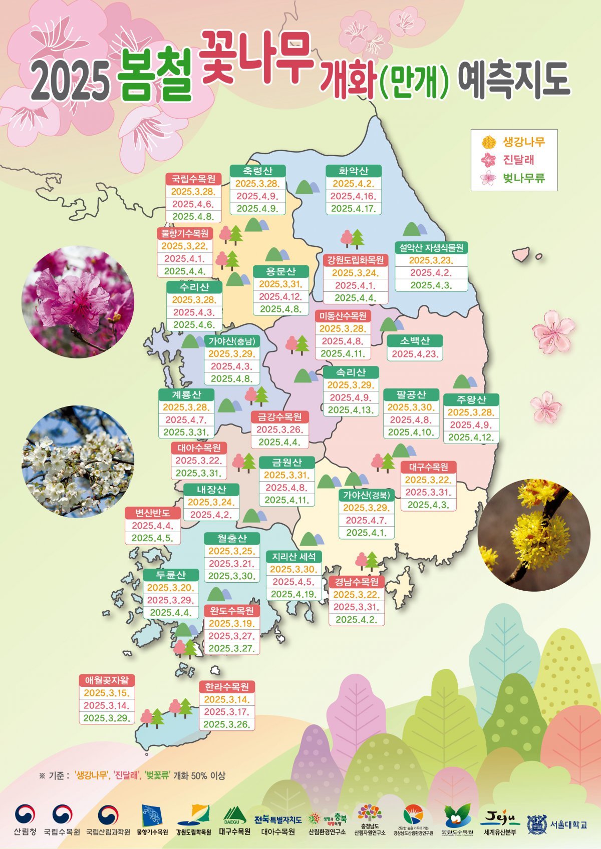 산림청 ‘2025년 봄철 꽃나무 개화 예측지도’