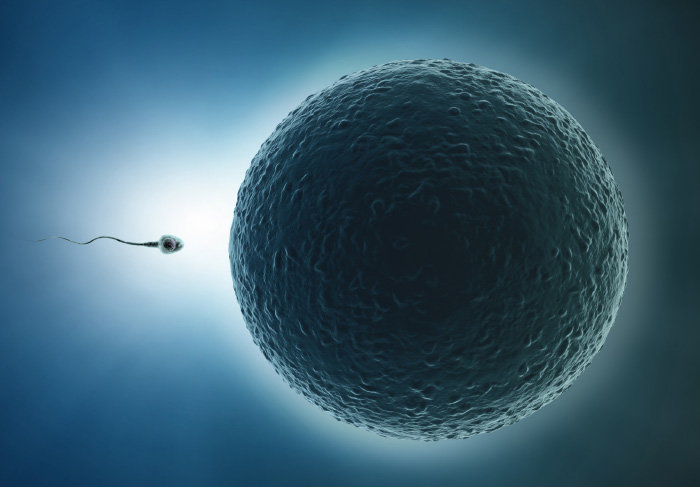 사진=게티이미지코리아.