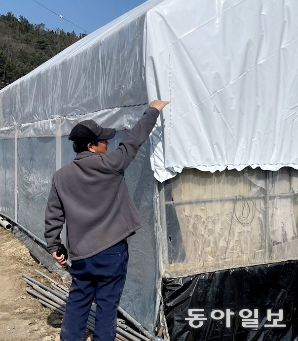 정뱅이마을에서 비닐하우스 농사를 짓고 있는 김환수 씨가 지난해 물이 찼던 높이를 설명하고 있다. 이정훈 기자 jh89@donga.com