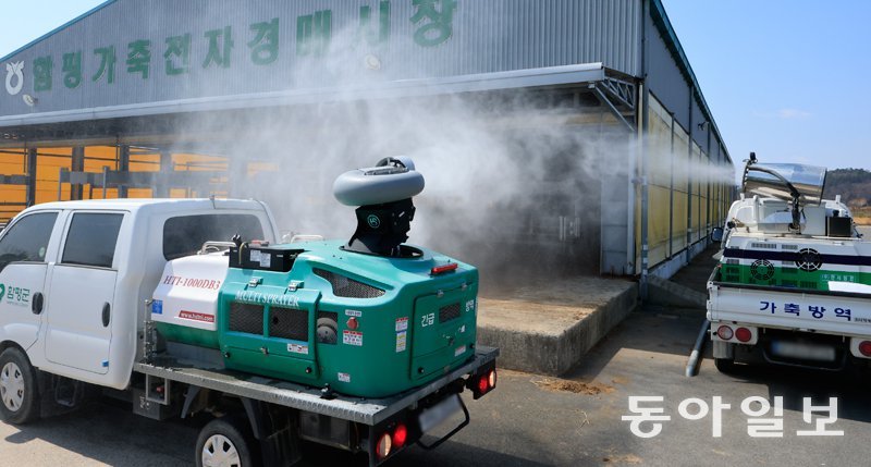 전남 10개 시군이 ‘구제역 심각 단계’로 격상된 가운데 17일 전남 함평군 함평읍 함평축협가축시장에서 방역차량이 구제역 확산 방지를 위해 방역 작업을 하고 있다. 박영철 기자 skyblue@donga.com