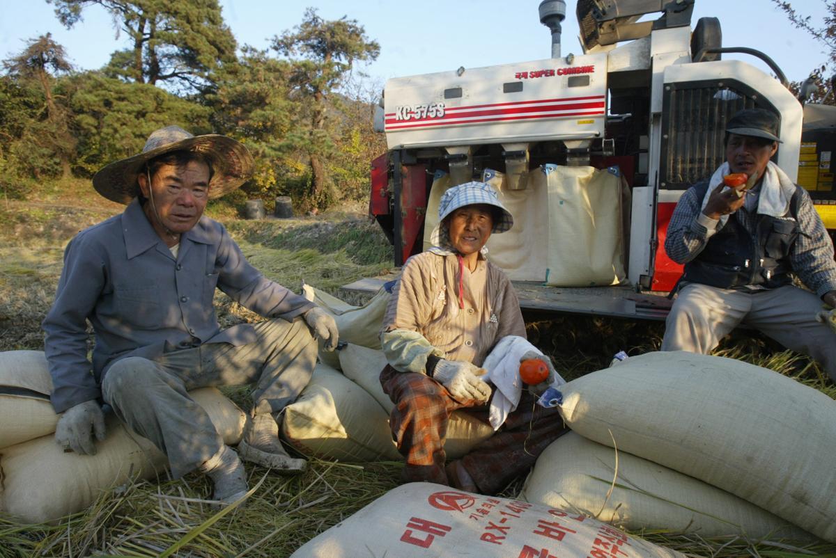 시골 농사풍경.부모님과 집안 어르신 모습이지만 1990년대 농촌지방의 풍속도이기도 하다. 조보희 씨 제공