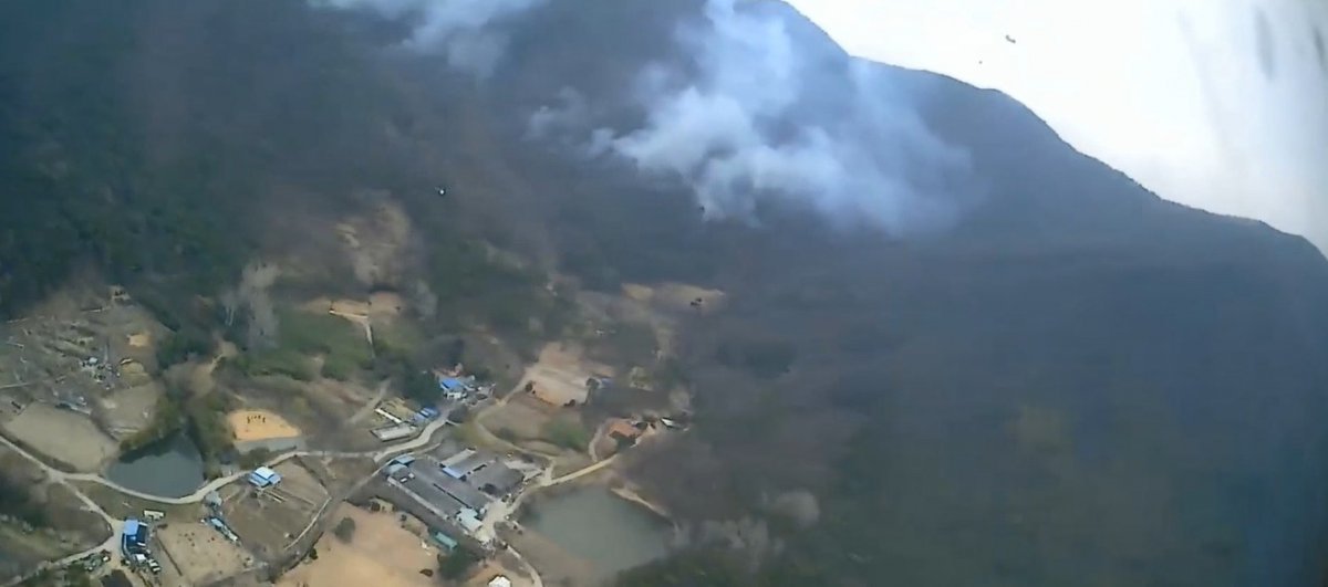 김해 한림면 산불 진화 작업. 산림청 제공