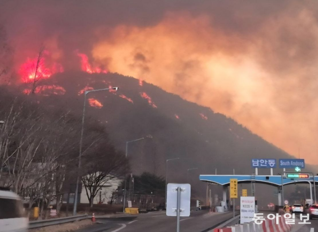 경북 안동시 중앙고속도로 남안동 IC 부근에 산불이 번지고 있다. 독자 제공