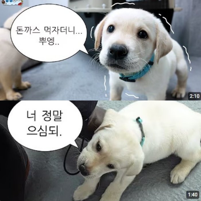 유튜브 갈무리 @관세청