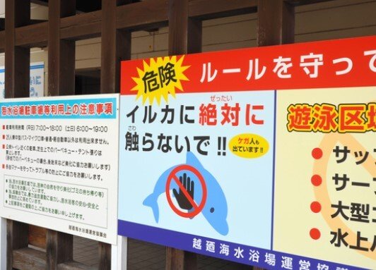 사람을 물었던 돌고래 때문에 후쿠이 현의 해변에는 안전을 위한 경고문이 붙었다. (사진=X)