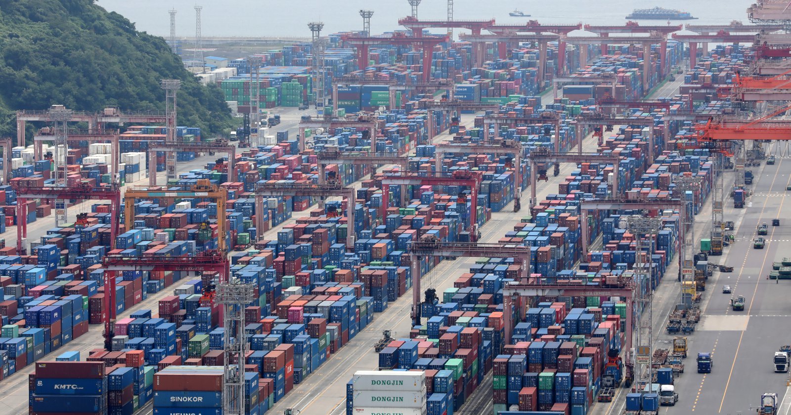 부산항 신선대부두 야적장. 2025.8.11/뉴스1