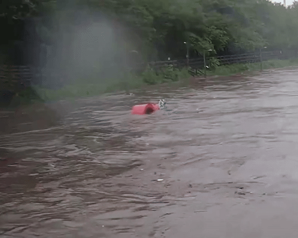 강북구 우이천 산책로의 모습. 출처= @serinepi 엑스 갈무리