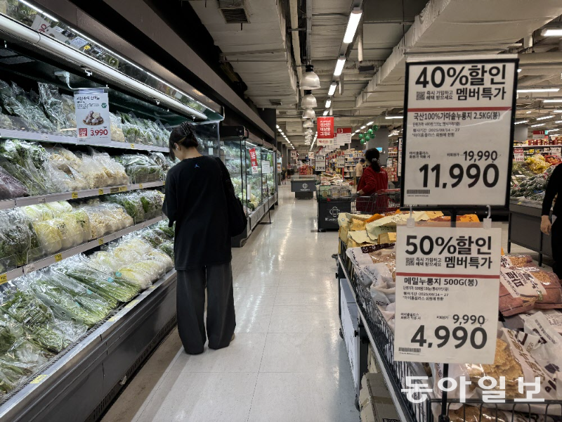 김다연 기자 damong@donga.com