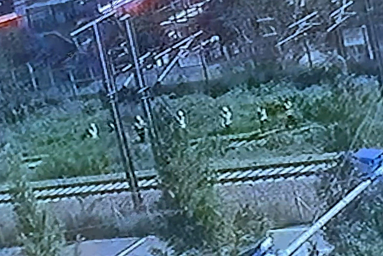 19일 오전 10시52분쯤 경북 청도군 화양읍 삼신리 경부선 철로에서 무궁화호 열차가 작업자 7명을 치어 2명이 숨지고 5명은 중경상을 입었다. 사고 직전 구조물 안전진단 연구원 6명과 코레일 직원 1명이 작업 현장으로 이동하는 모습.2025.8.19/독자 제공 영상 캡처