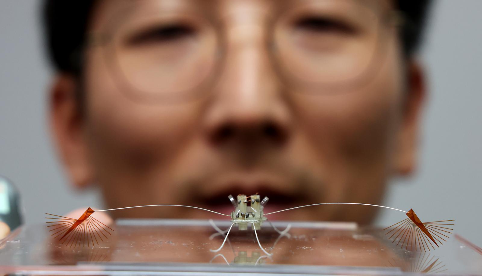 고제성 아주대 교수팀이 소금쟁이과 곤충인 라고벨리아를 모사해 개발한 초소형 수상 로봇. 로봇 다리 끝에 있는 부채꼴 구조가 물 위에서 빠르게 움직일 수 있게 한다. 과학기술정보통신부 제공