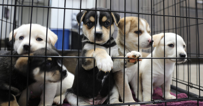 게티이미지뱅크