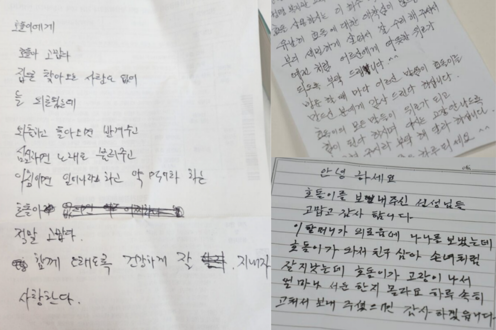 효돌이 사용자들이 보낸 편지. (사진=독자제공, 최강주 기자 gamja822@donga.com)