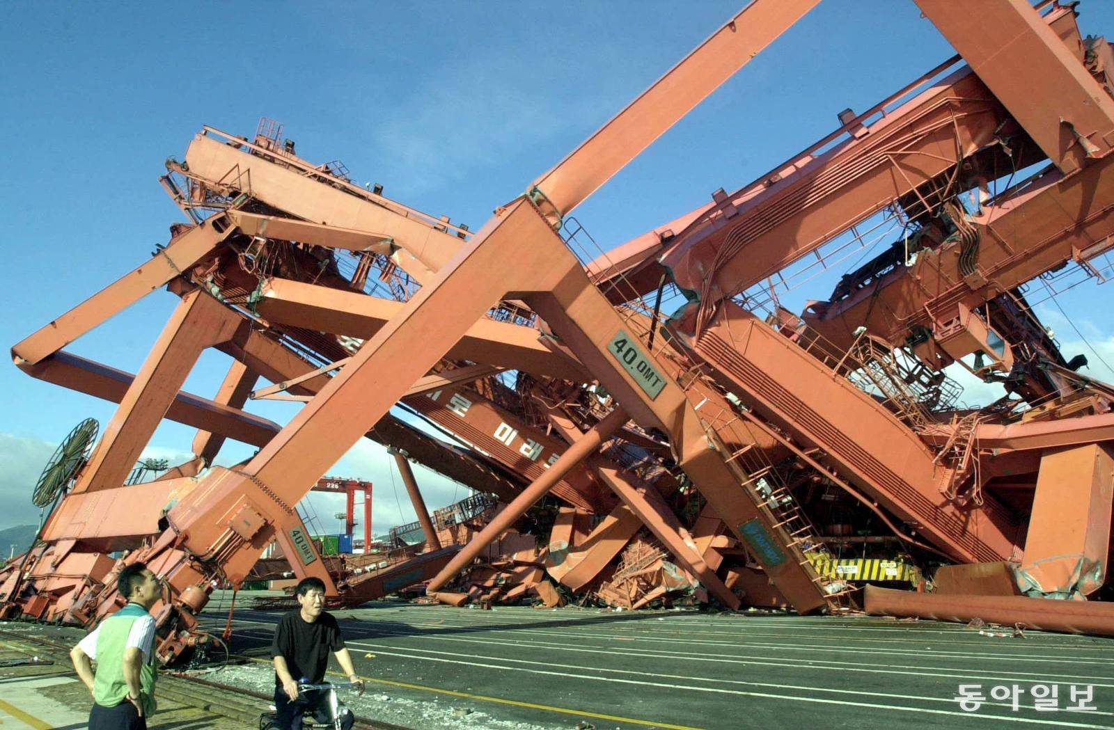 부산항 5부두 허치슨 컨테이너터미널 내 대형 크레인이 강풍에 못 이겨 무너져 내려앉았다. 동아일보 DB