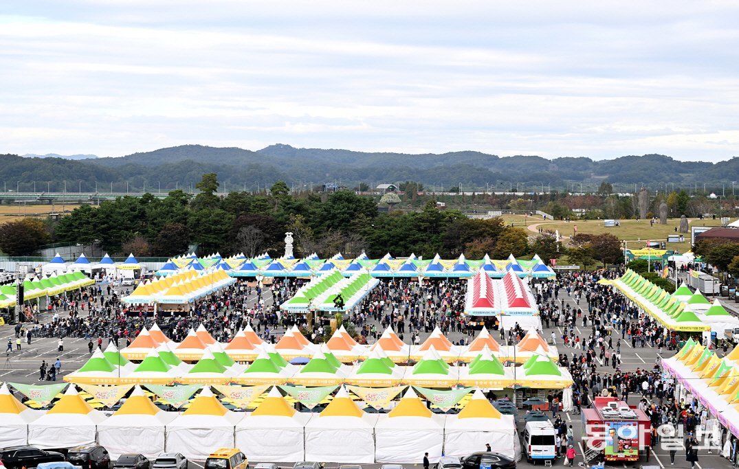 지난해 파주개성인삼축제장. 파주시 제공