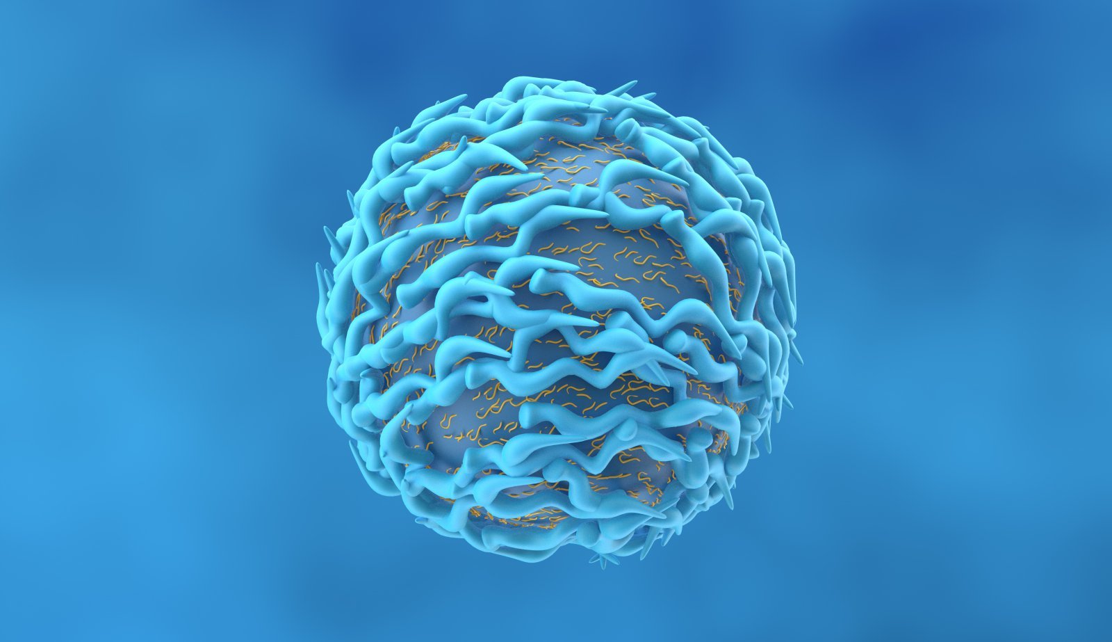 면역 작용 전체를 조율하고 지휘하는 T세포가 질환 치료뿐만 아니라 인체가 지방을 흡수하는 대사 시스템에도 영향을 주고 있다는 연구 결과가 9일(현지 시간) 국제학술지 ‘사이언스’에 공개됐다. 게티이미지코리아