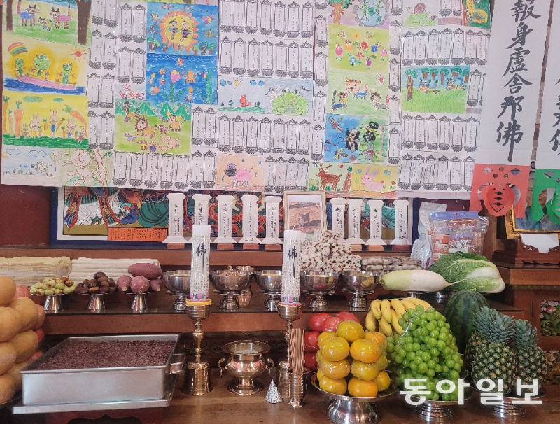 현덕사 동식물 천도재의 대상은 반려동물뿐만 아니라 구제역, 조류인플루엔자 등으로 살처분된 가축, 실험에 쓰인 동물도 포함한다. 현종 스님은 “한 약사가 대학 때 쥐를 실험용으로 사용했던 미안함과 죄책감에 선후배들과 천도재를 부탁해 지금까지 위패를 모시고 있다”며 “생명의 귀함을 느낀다면 거기가 극락”이라고 했다. 강릉=이진구 기자 sys1201@donga.com