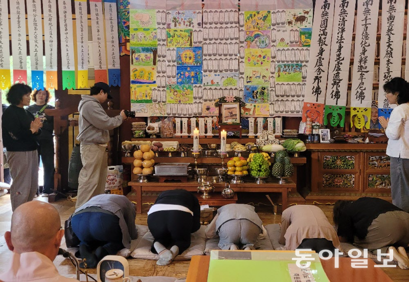 현덕사 동식물 천도재의 대상은 반려동물뿐만 아니라 구제역, 조류인플루엔자 등으로 살처분된 가축, 실험에 쓰인 동물도 포함한다. 현종 스님은 “한 약사가 대학 때 쥐를 실험용으로 사용했던 미안함과 죄책감에 선후배들과 천도재를 부탁해 지금까지 위패를 모시고 있다”며 “생명의 귀함을 느낀다면 거기가 극락”이라고 했다. 강릉=이진구 기자 sys1201@donga.com