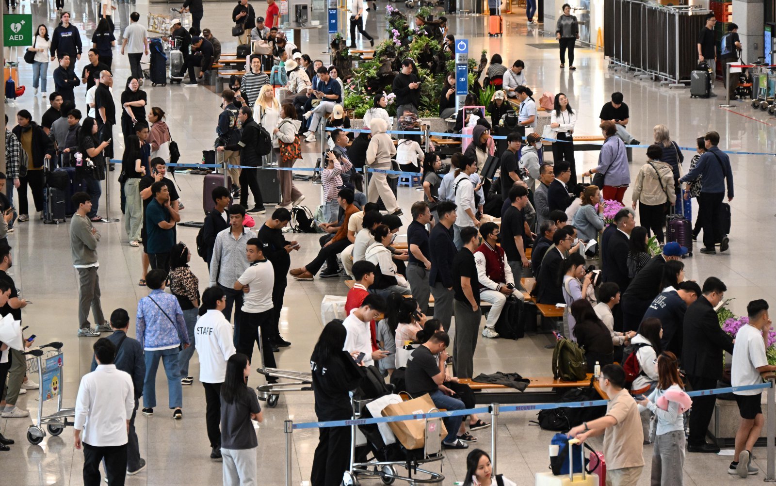 중국인 단체관광객에 대한 무비자 입국 시행 첫날인 29일 오전 인천국제공항 제1터미널 입국장으로 중국인 관광객들이 입국하고 있다. 뉴시스