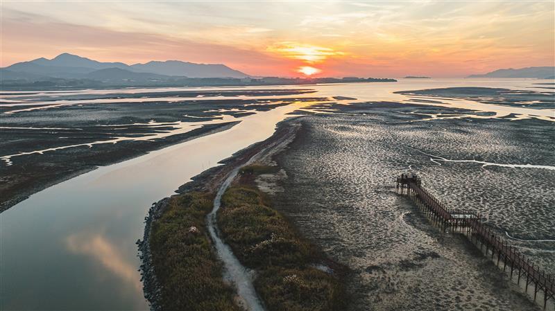 해양 생태계 복원을 위한 국내 블루카본 조성 사업 대상지. 갯벌은 육상 생태계보다 최대 50배 빠르게 탄소를 흡수하며 기후 대응의 핵심 자원으로 주목받고 있다. 월드비전 제공