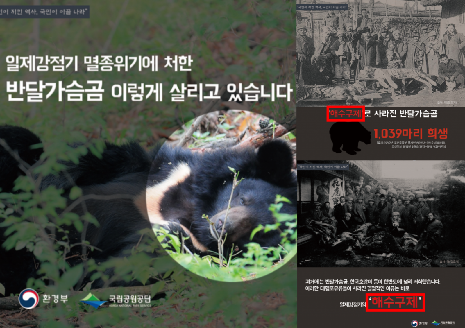 2025.10.14 국회 기후에너지환경노동위원회 환경부 국정감사에서 국민의힘 우재준 의원이 지리산 반달가슴곰 복원사업에 대해 질타했다. 우 의원은 정책의 이념화와 안전 문제를 지적했다. 사진=우재준 의원실 제공