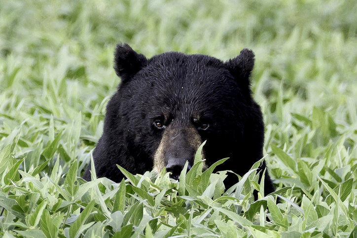 사진=게티이미지뱅크.